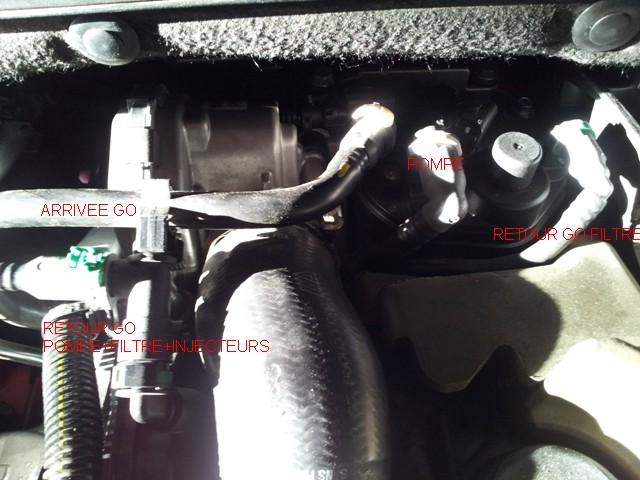 Durite Filtre a GO Moteur DV6Ca.jpg